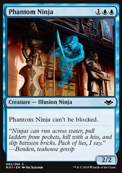 Phantom Ninja